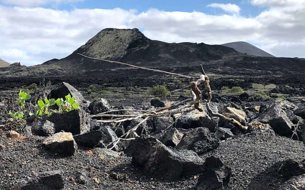 Meditación entre volcanes en Lanzarote